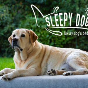 Sistema Letto per cani Sleepy Dog