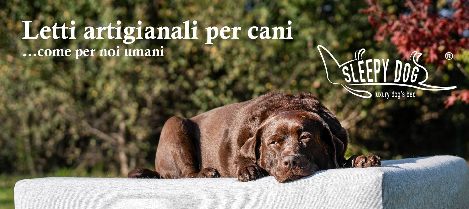 letto per cani sleepy dog by materassi lecco